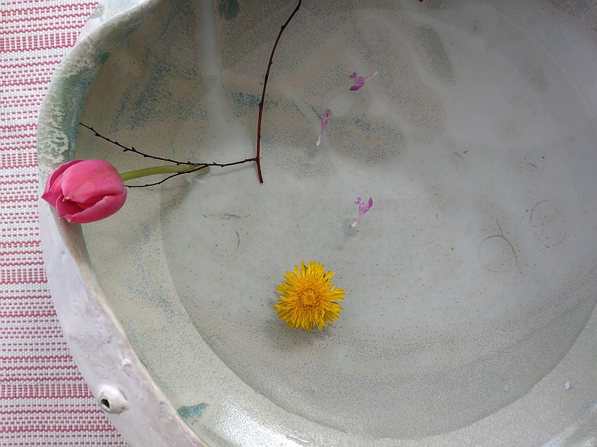 Sichelmond Meeresgrund 2022